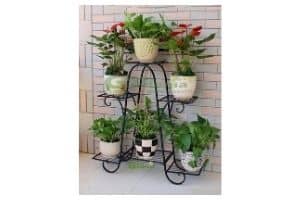 Green Gardenia Iron Plant Stand/Pot Stand (6 Pot Holder Black)