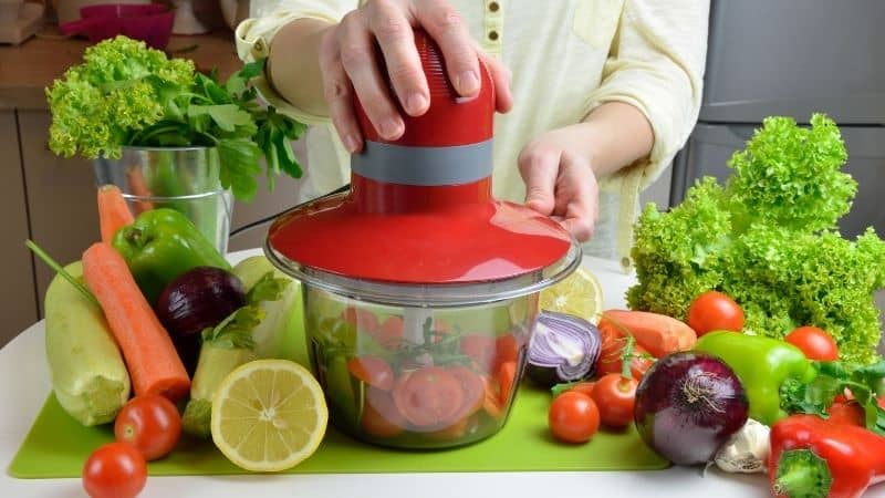Best Electric Vegetable Chopper in India 2022