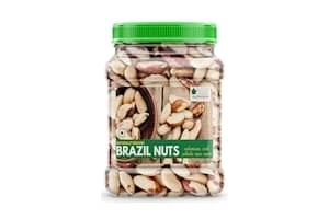Healthy Brazil Nuts Selenium Rich Super Nut