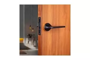 LAPO Premium Rose Mortise Door Lock Handle Set