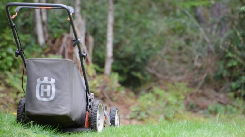 Best Lawn Mowers in India
