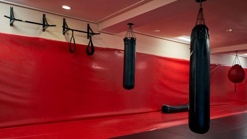 Best Punching Bags in India 