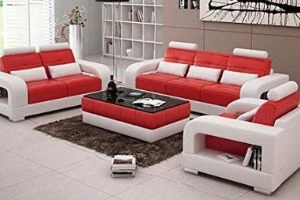 Best furniture Designer Sofa Set